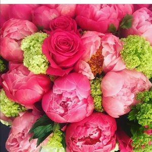 Meet your Posher, Daneene